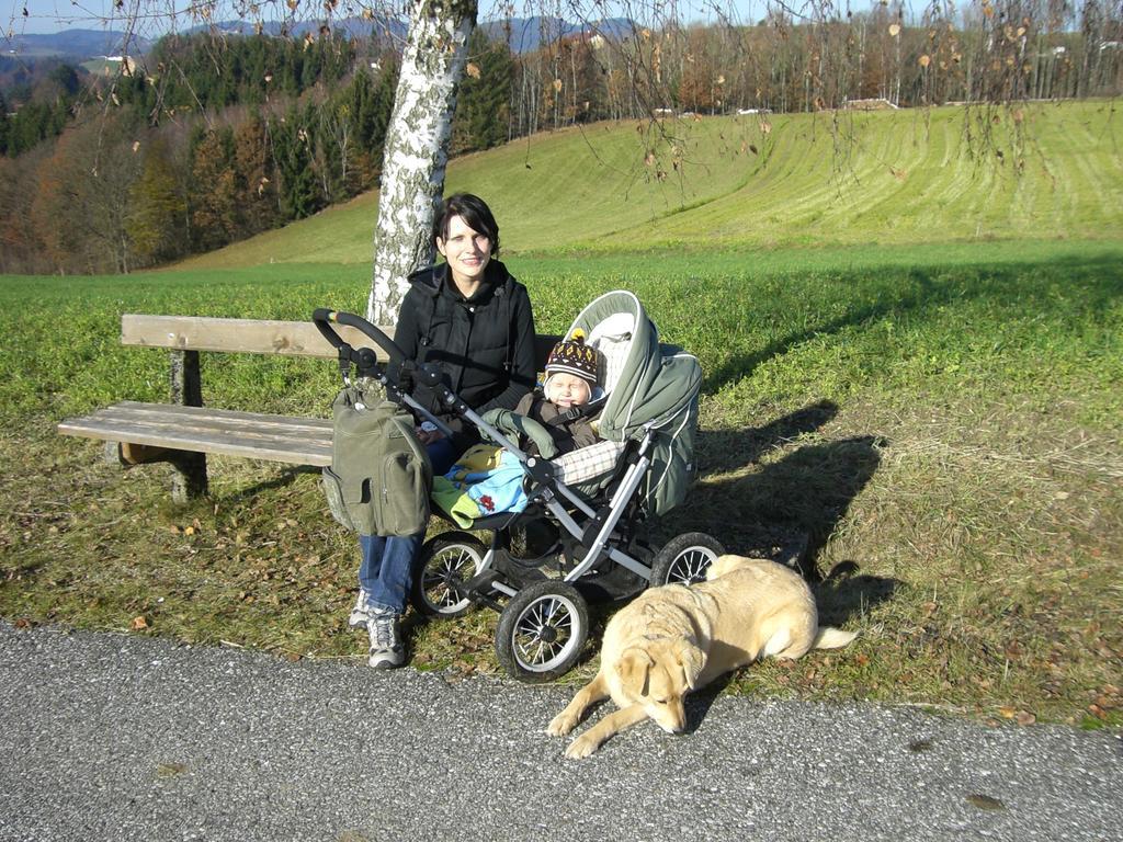 Kirchenwirt Inn Kreuzen  Exteriör bild